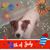 McDaniel Mary's profile image