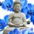 Mary Menard's profile image
