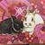 Cindy Ferrara's profile image