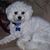 Lynn Schneeberger's profile image