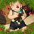 Criz Gio P S Fonseca's profile image