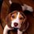 Shelby Anders's profile image