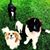 Linda Schriefer's profile image