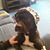 Michelle Hays's profile image