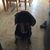 Rich Birsic's profile image