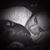 Nicole Marrazzo's profile image