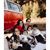 Sonia Reyes- Miller's profile image