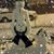 Doug Wooddell's profile image