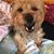 Trish Murray Dulinski's profile image