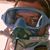 Chaim Frank's profile image