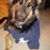James William's profile image