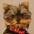 Connie Fontenot Duke's profile image