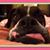Claudia Florez's profile image