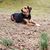 Tiffany Herb's profile image