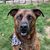 Nancy Godfrey Hennessey's profile image
