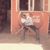 Anderson Josephs's profile image