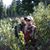 Forest Duerksen's profile image