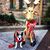 Joy Ramsbotham's profile image