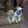 Jim Scherer's profile image