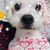 Carol Johnson's profile image