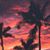 Magnolia Clavero's profile image