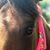 Meredith Fuller's profile image