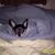 Wendy Wilson's profile image