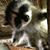 Melinda Broussard's profile image
