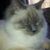 Jessica Saez's profile image