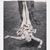 Melissa Terese Gagnon's profile image