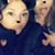 Carla Astorga's profile image