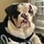 Erik Weispfenning's profile image