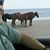 Butch Sarma's profile image