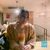Kunthitikit Thankam's profile image