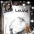 Louise Shew's profile image
