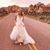 Shannie Alvey's profile image