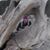 Debbie Dennig's profile image