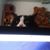 Michelle Johnson's profile image