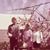 Catherine Crichton-Reed's profile image