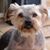 Lynelle Harper's profile image
