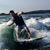 David Paull's profile image