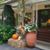 Rolling Brook Inn's profile image