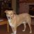 Russ Folts's profile image