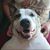 Kennedy Glanz's profile image