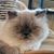 Sally Staver's profile image