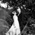 Kaitlynne Ward Morris's profile image