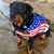 Nick Bevard's profile image