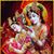 Hitesh Patel's profile image