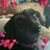 Kathy Tasker's profile image