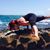Victoria Luz Sandsto Shea's profile image
